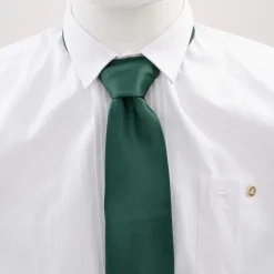 Zillertaler Trachtenwelt Accessoires-Krawatte #8 Grün